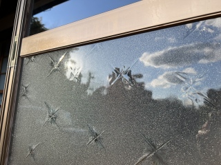 �K���X�|�����I