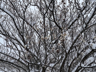 �~����΂�I�I