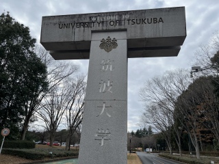 ������