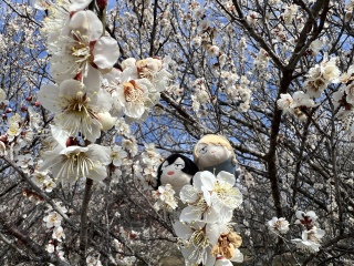 �Ȃ��A����